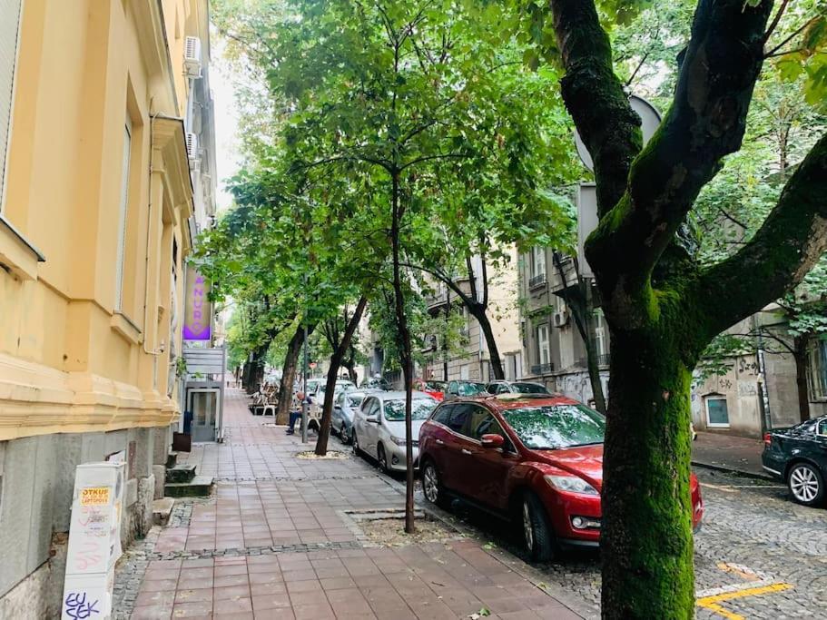Royal Apartment Belgrade Exterior photo